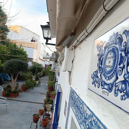 Tipico Y Pintoresco Patio De Vecinos, Con Encanto Seville Exterior photo