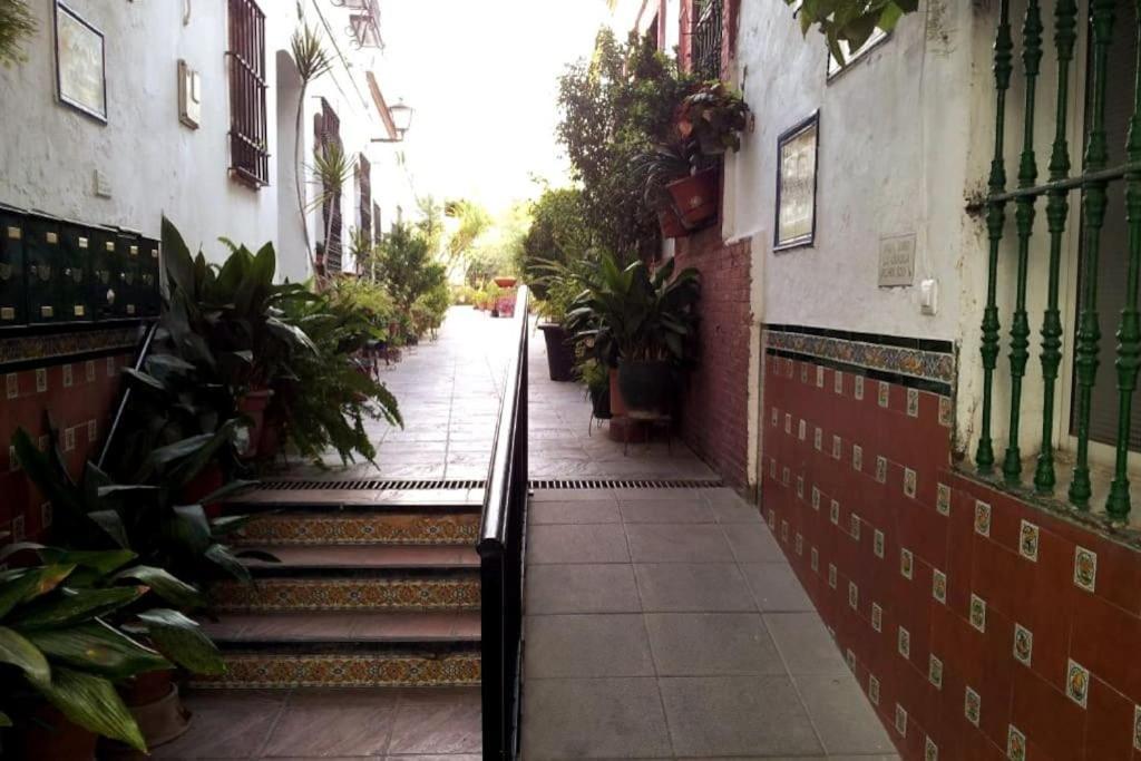 Tipico Y Pintoresco Patio De Vecinos, Con Encanto Seville Exterior photo