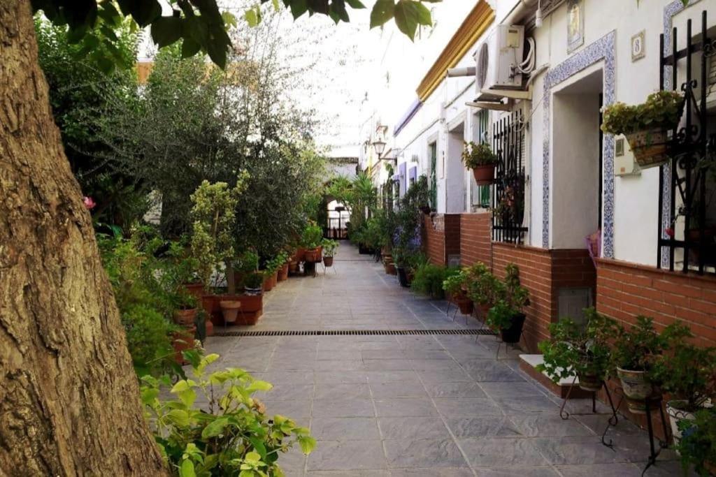Tipico Y Pintoresco Patio De Vecinos, Con Encanto Seville Exterior photo