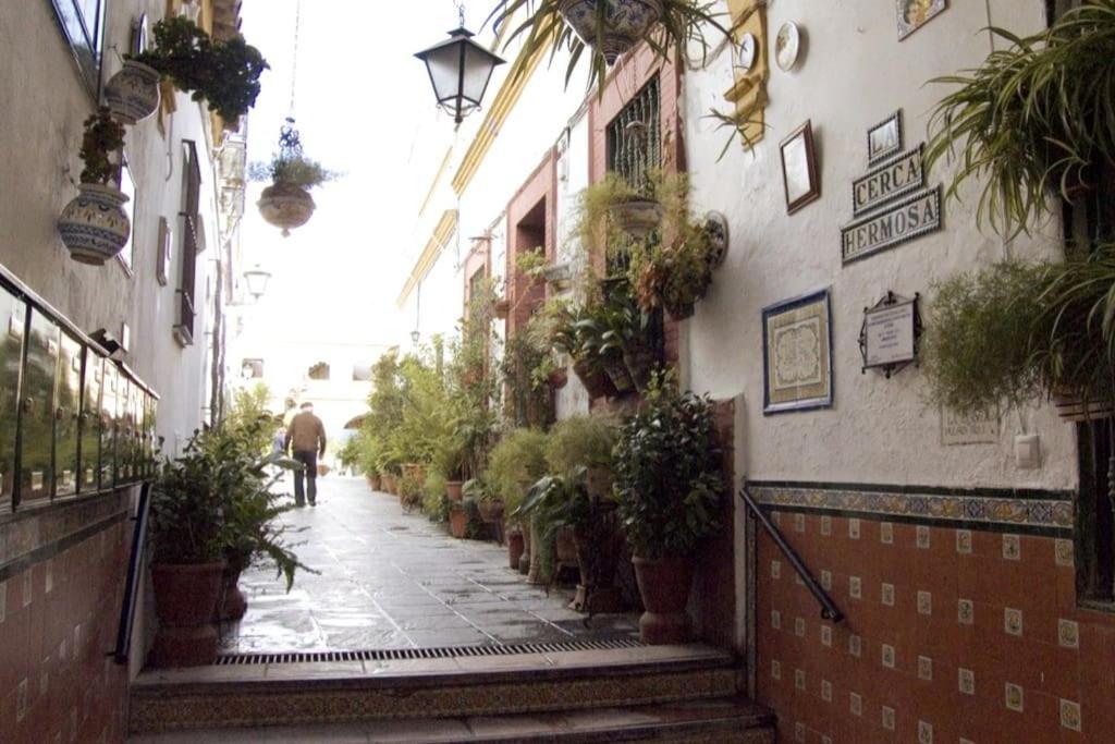 Tipico Y Pintoresco Patio De Vecinos, Con Encanto Seville Exterior photo